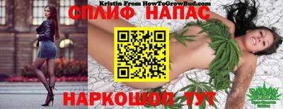 молекула духа Гудермес