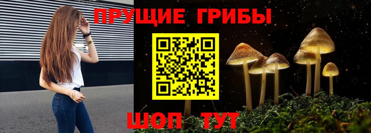 Галлюциногенные грибы GOLDEN TEACHER  Псилоцибиновые грибы мухоморы  Орск  Вход с VPN 